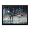 Hatzegopteryx framed print