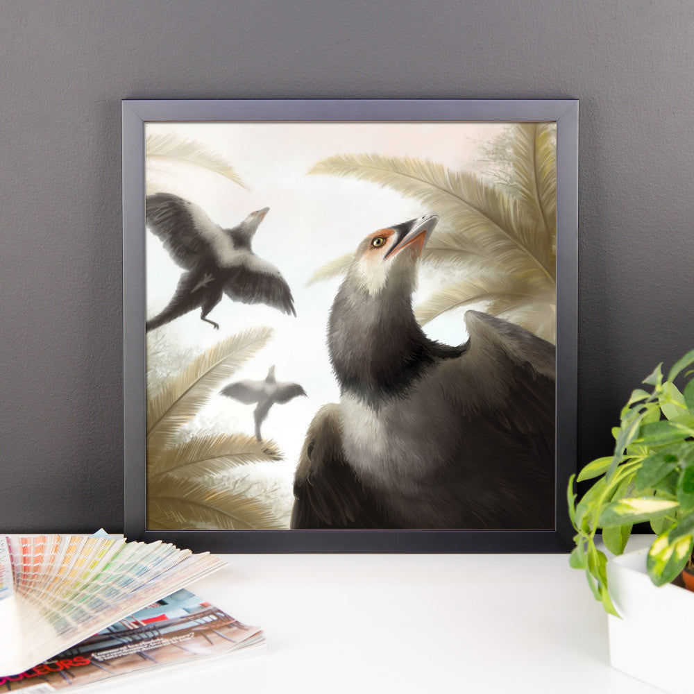 Archaeopteryx framed print