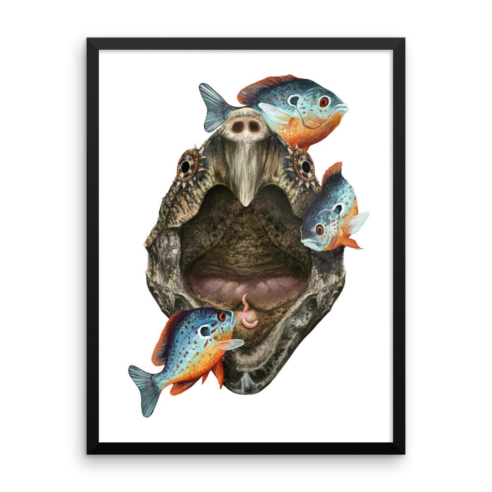 Alligator snapping turtle framed print