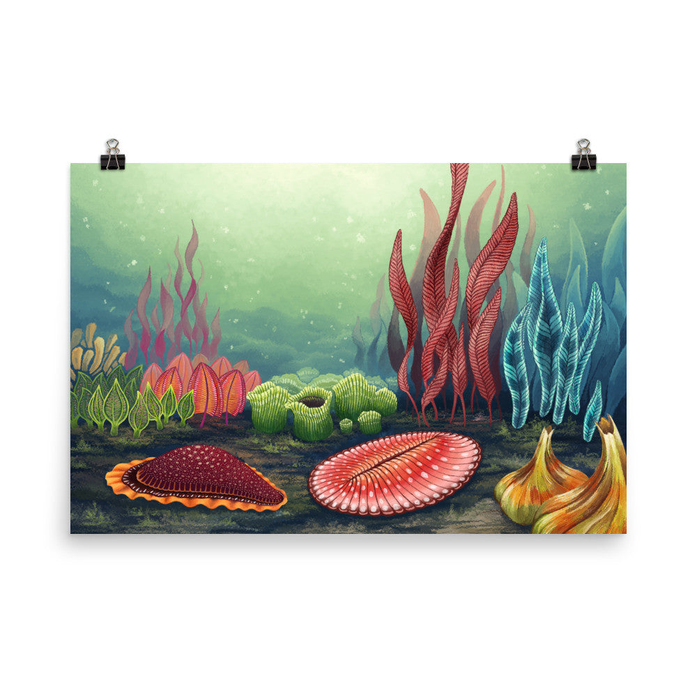 Garden of Ediacara poster