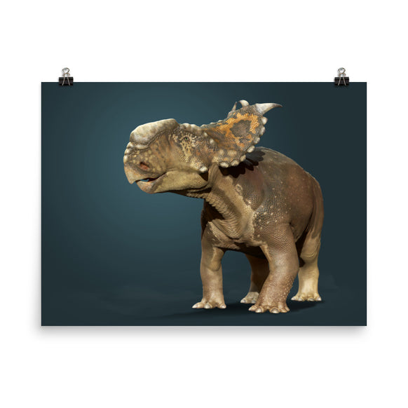 Pachyrhinosaurus poster