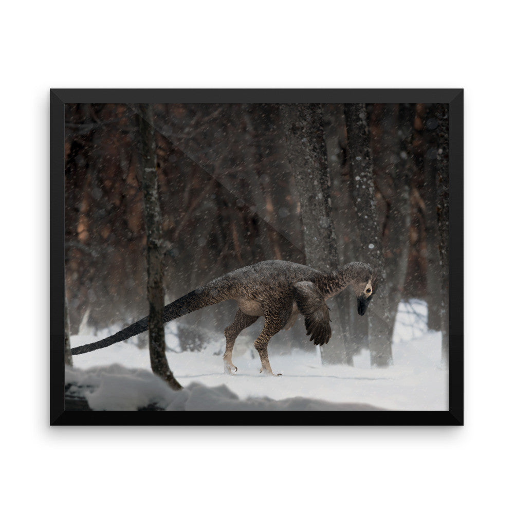 Alaskan troodontid framed print