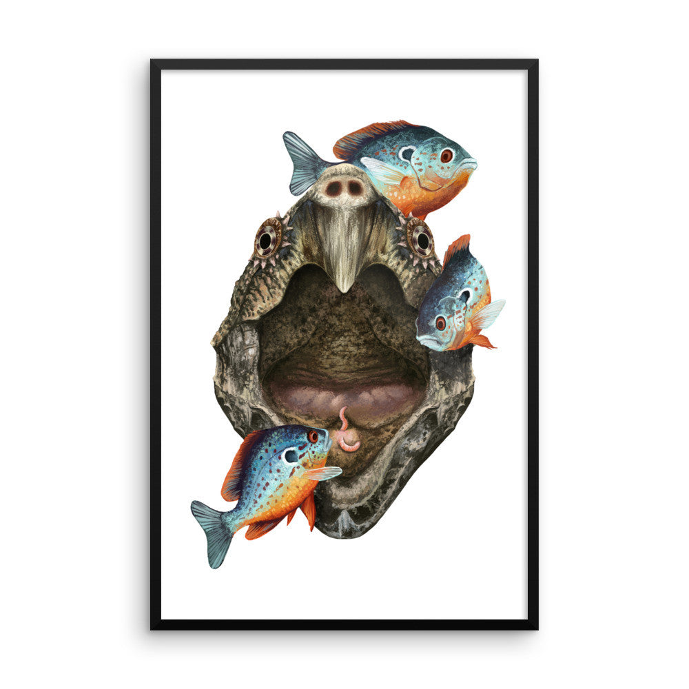 Alligator snapping turtle framed print