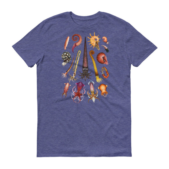 Cephalopods t-shirt