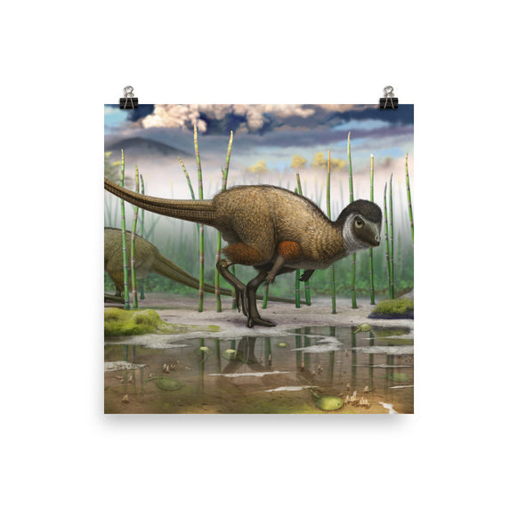 Kulindadromeus poster