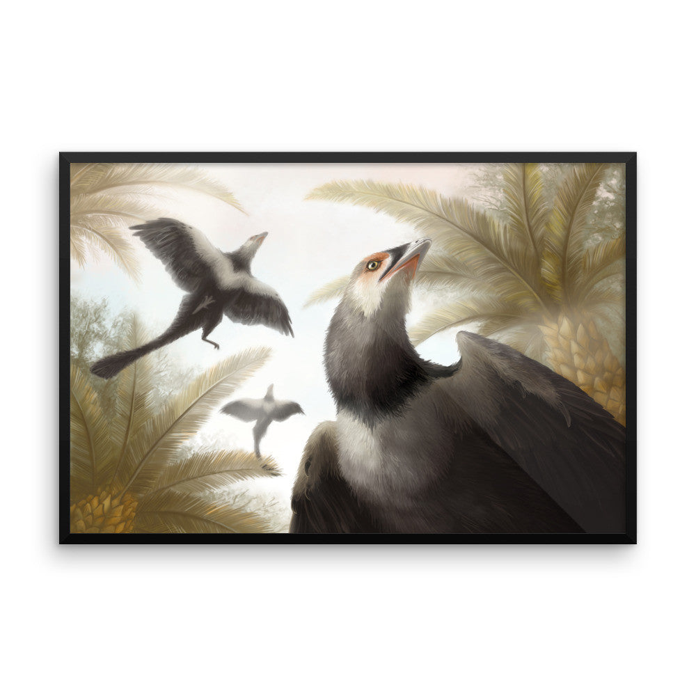 Archaeopteryx framed print