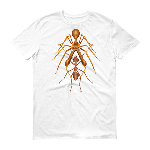 Antmimicking spider t-shirt