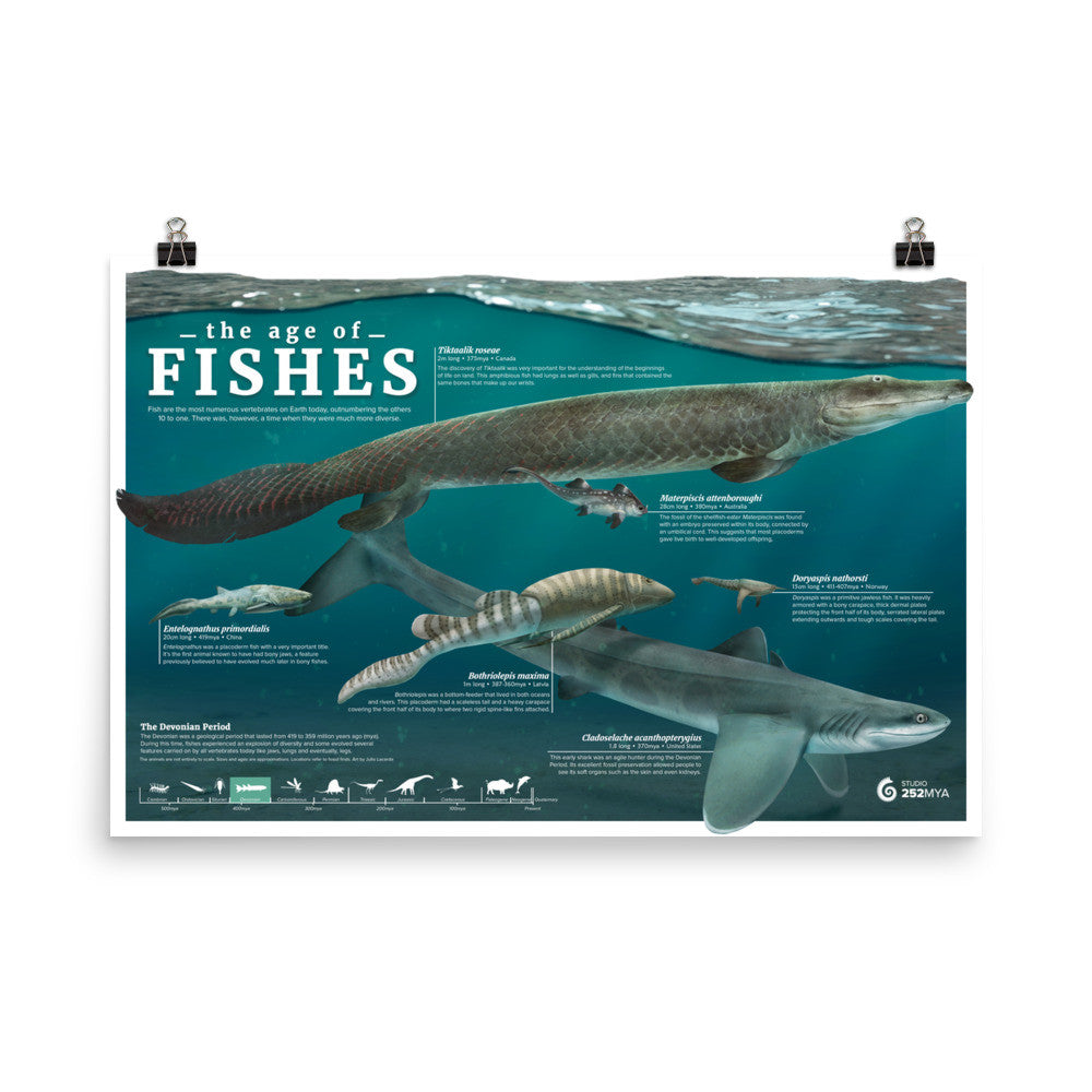 The Age of Fishes poster