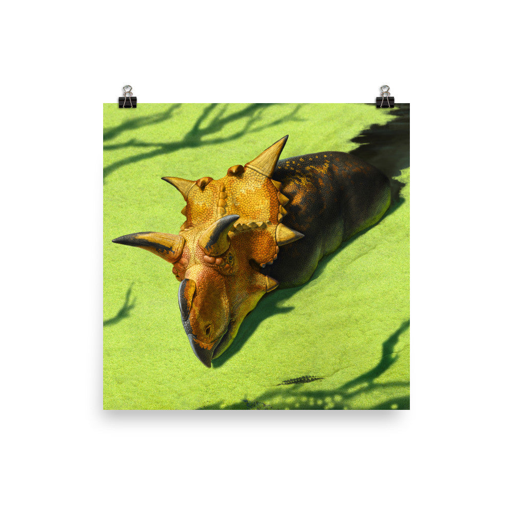 Xenoceratops poster