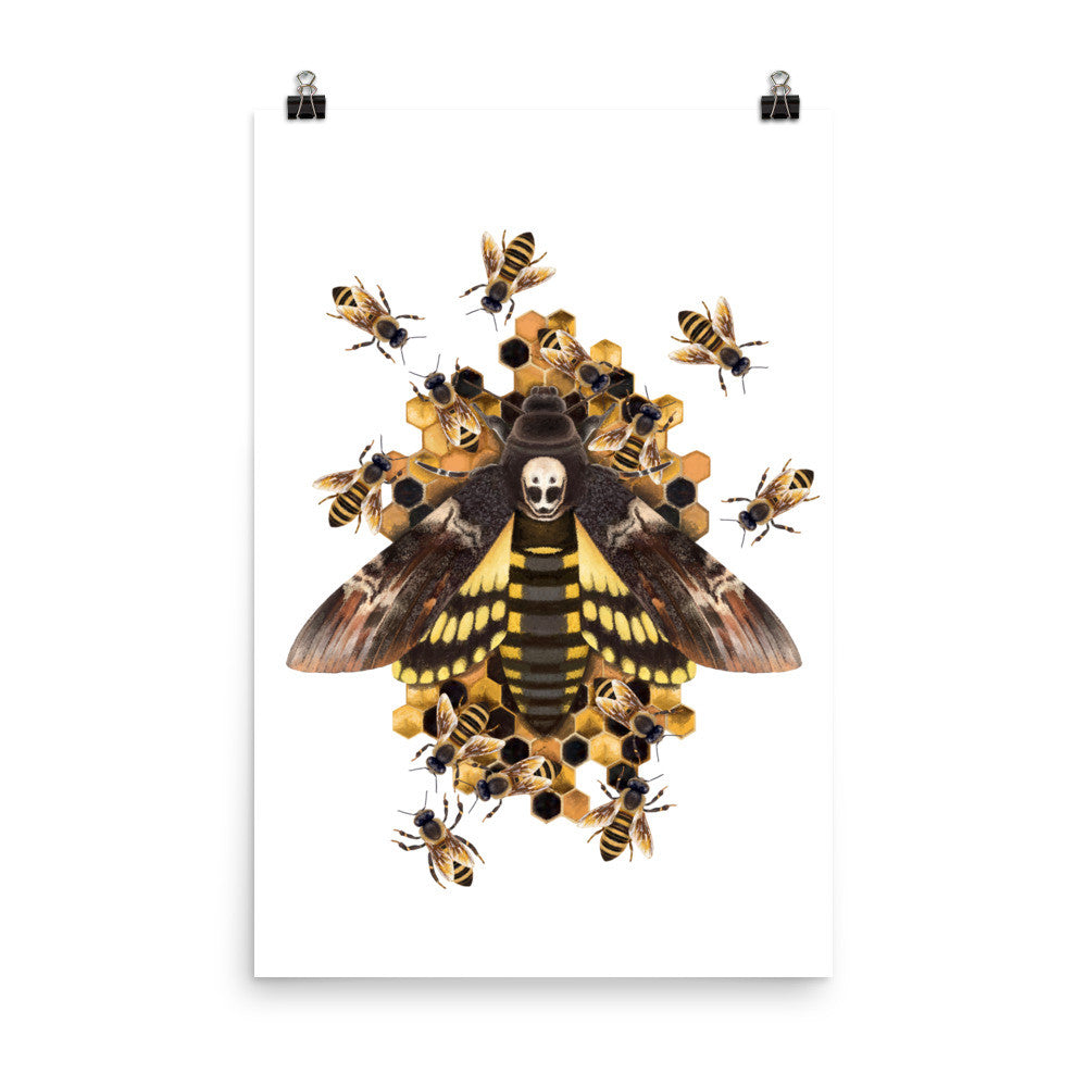 Death's head hawkmoth poster