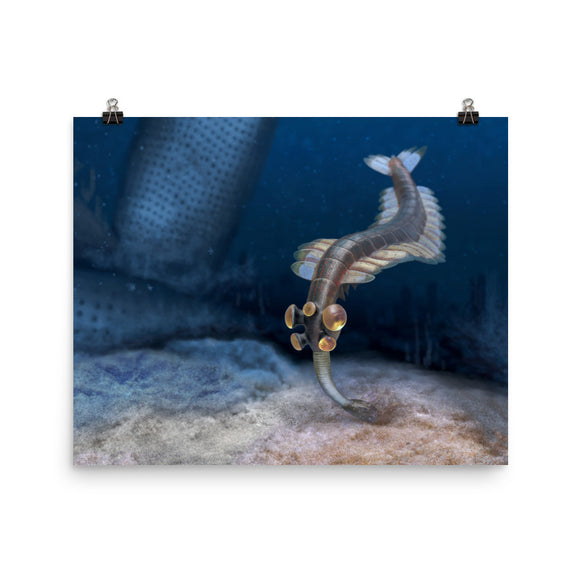 Opabinia poster