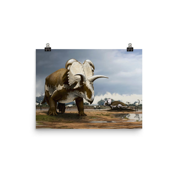 Medusaceratops poster