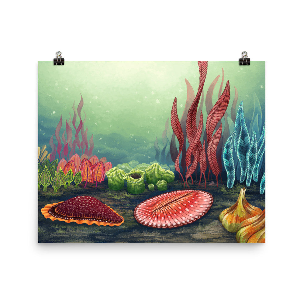 Garden of Ediacara poster