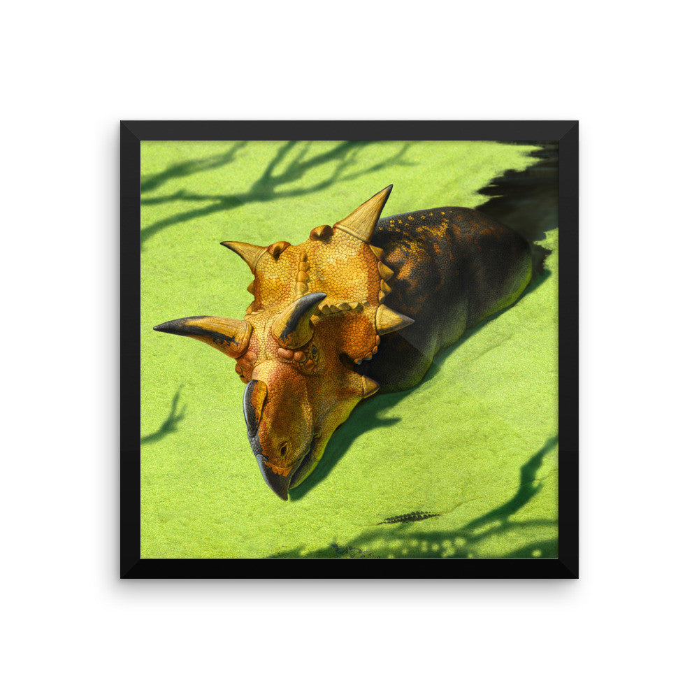Xenoceratops framed print