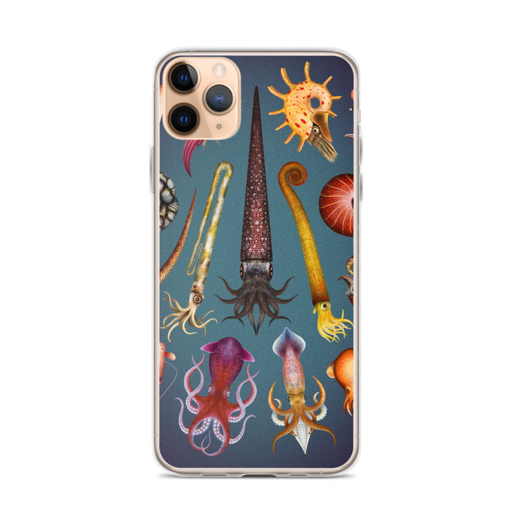 Cephalopods iPhone Case