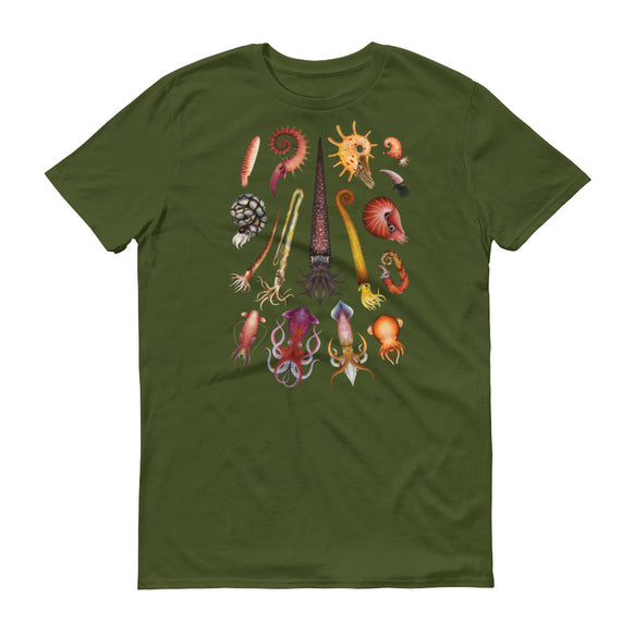 Cephalopods t-shirt