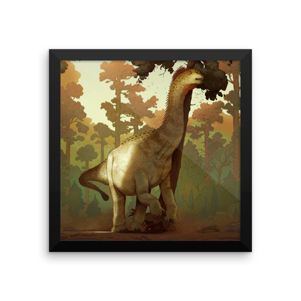 Camarasaurus framed print