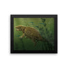 Liaoningosaurus framed print