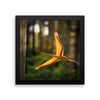 Sharovipteryx framed print