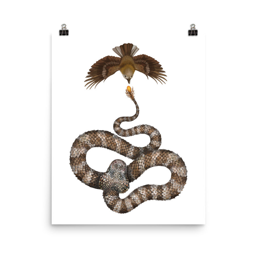 Spider-tailed horned viper poster