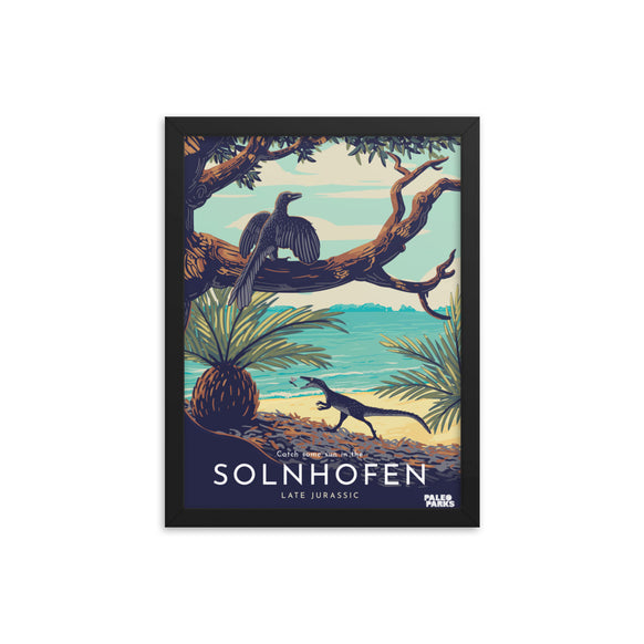 Solnhofen Paleo Parks framed print