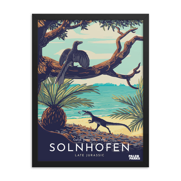 Solnhofen Paleo Parks framed print