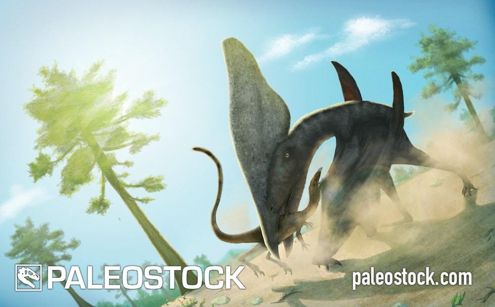 Thalassodromeus And Mirischia stock image